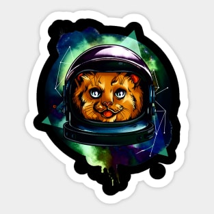 The Cat in Space. For astronaut animal lovers and fun loving fashionistas. Get the space safari look. Sticker